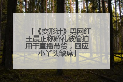 《变形计》男网红王晨正称婚礼被偷拍用于直播带货，回应小丫头缺席