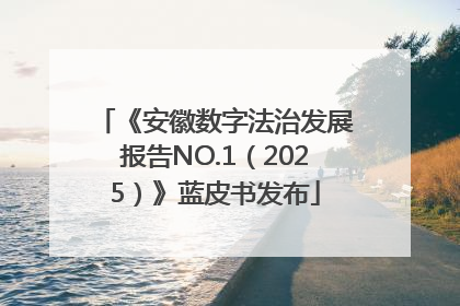 《安徽数字法治发展报告NO.1（2025）》蓝皮书发布