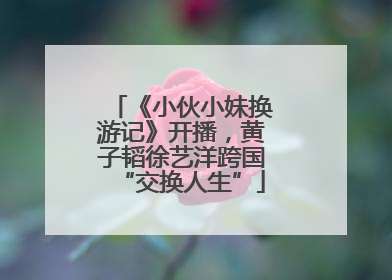 《小伙小妹换游记》开播，黄子韬徐艺洋跨国“交换人生”