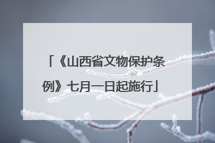 《山西省文物保护条例》七月一日起施行