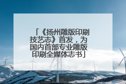 《扬州雕版印刷技艺志》首发，为国内首部专业雕版印刷全媒体志书