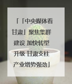 「中央媒体看甘肃」聚焦集群建设 加快转型升级 甘肃支柱产业增势强劲