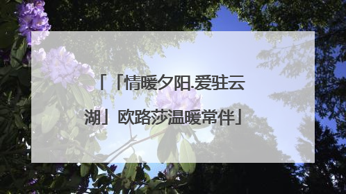 「情暖夕阳.爱驻云湖」欧路莎温暖常伴