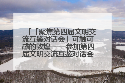 「聚焦第四届文明交流互鉴对话会」可触可感的敦煌——参加第四届文明交流互鉴对话会的外宾参观上元市集