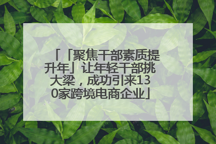 「聚焦干部素质提升年」让年轻干部挑大梁，成功引来130家跨境电商企业