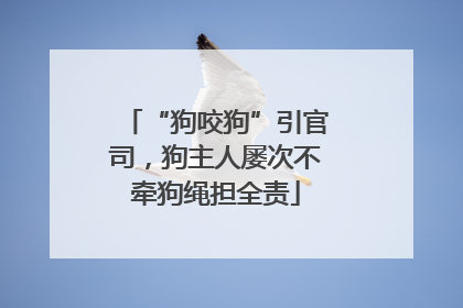 “狗咬狗”引官司，狗主人屡次不牵狗绳担全责