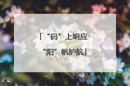 “码”上响应 “阳”帆护航