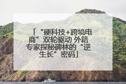 “硬科技+跨境电商”双轮驱动 外籍专家探秘碑林的“逆生长”密码