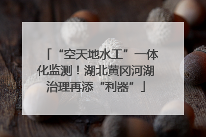 “空天地水工”一体化监测！湖北黄冈河湖治理再添“利器”