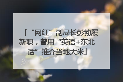 “网红”副局长彭勃履新职，曾用“英语+东北话”推介当地大米