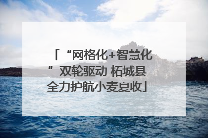“网格化+智慧化”双轮驱动 柘城县全力护航小麦夏收