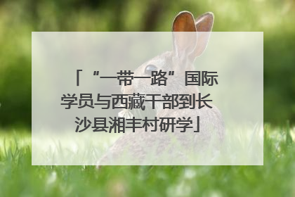“一带一路”国际学员与西藏干部到长沙县湘丰村研学