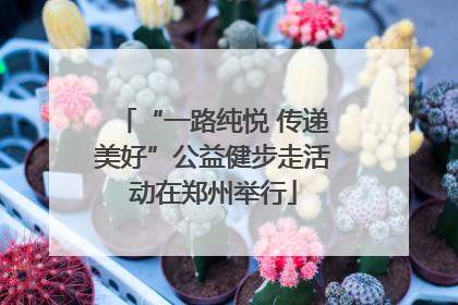 “一路纯悦 传递美好”公益健步走活动在郑州举行