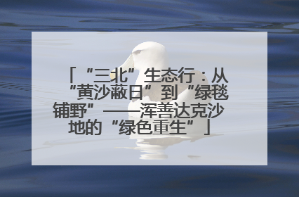 “三北”生态行：从“黄沙蔽日”到“绿毯铺野”——浑善达克沙地的“绿色重生”