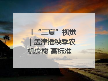 “三夏”视觉｜孟津插秧季农机穿梭 高标准农田披绿装