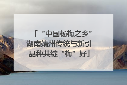 “中国杨梅之乡”湖南靖州传统与新引品种共绽“梅”好