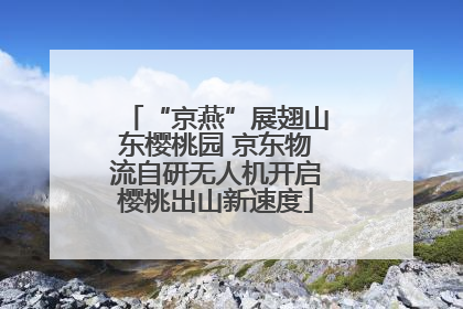 “京燕”展翅山东樱桃园 京东物流自研无人机开启樱桃出山新速度