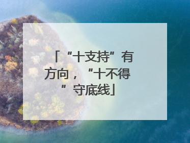 “十支持”有方向，“十不得”守底线