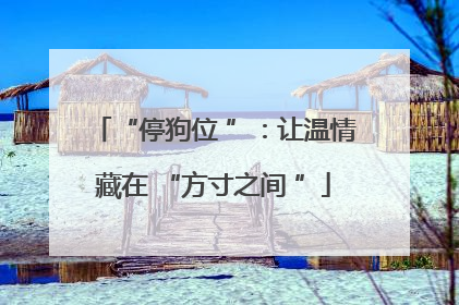 “停狗位 ”：让温情藏在 “方寸之间 ”