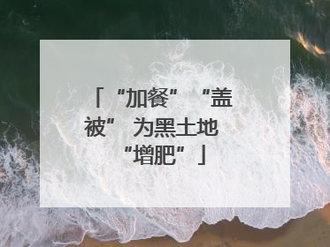 “加餐”“盖被” 为黑土地“增肥”