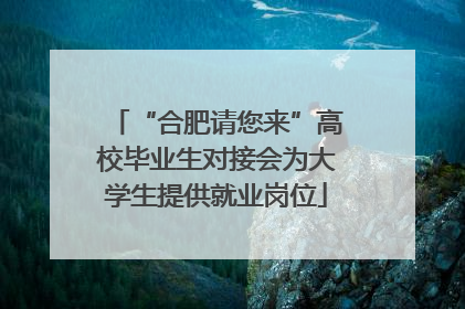 “合肥请您来”高校毕业生对接会为大学生提供就业岗位