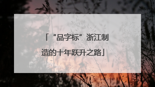 “品字标”浙江制造的十年跃升之路