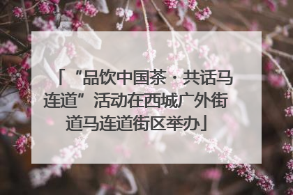 “品饮中国茶・共话马连道”活动在西城广外街道马连道街区举办