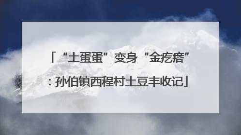 “土蛋蛋”变身“金疙瘩”：孙伯镇西程村土豆丰收记