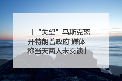 “失望”马斯克离开特朗普政府 媒体称当天两人未交谈