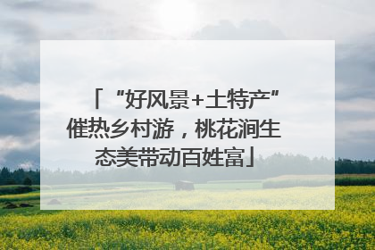 “好风景+土特产”催热乡村游，桃花涧生态美带动百姓富