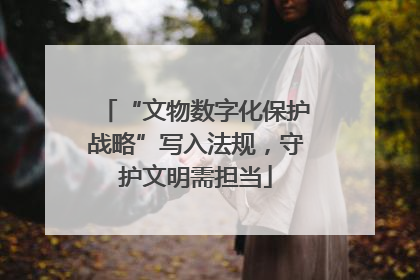 “文物数字化保护战略”写入法规，守护文明需担当