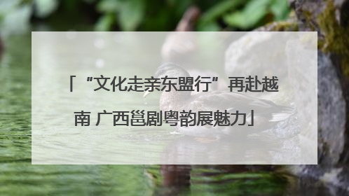 “文化走亲东盟行”再赴越南 广西邕剧粤韵展魅力