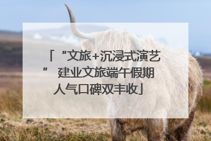 “文旅+沉浸式演艺” 建业文旅端午假期人气口碑双丰收