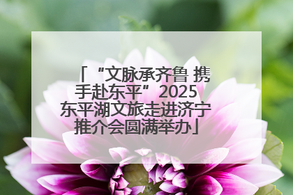 “文脉承齐鲁 携手赴东平”2025东平湖文旅走进济宁推介会圆满举办