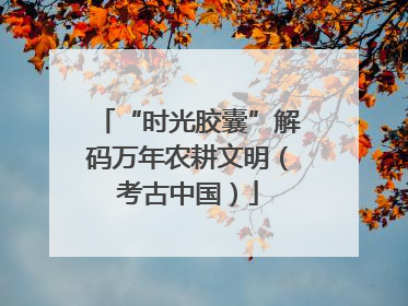 “时光胶囊”解码万年农耕文明（考古中国）