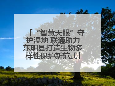 “智慧天眼”守护湿地 联通助力东明县打造生物多样性保护新范式