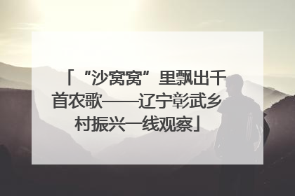 “沙窝窝”里飘出千首农歌——辽宁彰武乡村振兴一线观察