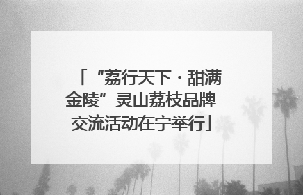 “荔行天下・甜满金陵”灵山荔枝品牌交流活动在宁举行