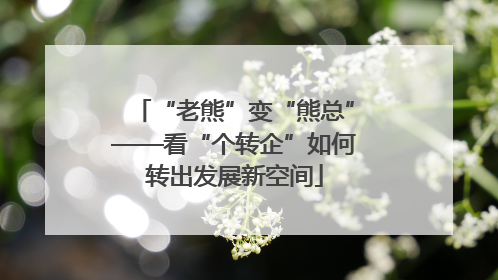 “老熊”变“熊总”——看“个转企”如何转出发展新空间