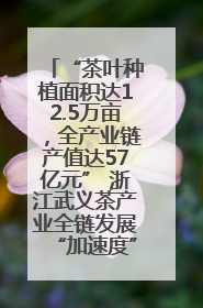 “茶叶种植面积达12.5万亩，全产业链产值达57亿元” 浙江武义茶产业全链发展“加速度”
