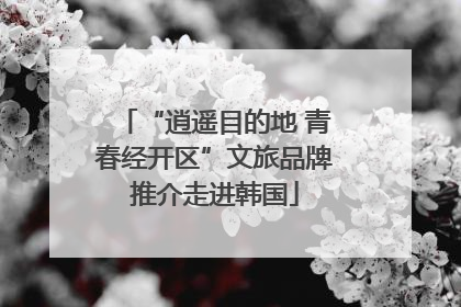 “逍遥目的地 青春经开区”文旅品牌推介走进韩国