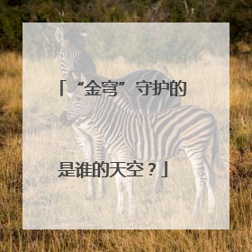 “金穹”守护的是谁的天空？