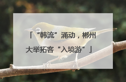 “韩流”涌动，郴州大举拓客“入境游”