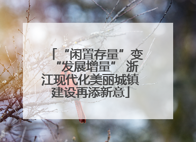 “闲置存量”变“发展增量” 浙江现代化美丽城镇建设再添新意