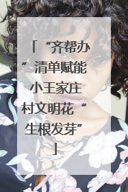 “齐帮办”清单赋能 小王家庄村文明花“生根发芽”