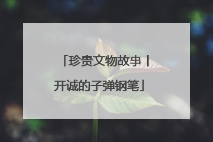 珍贵文物故事丨开诚的子弹钢笔