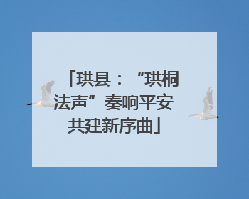珙县：“珙桐法声”奏响平安共建新序曲