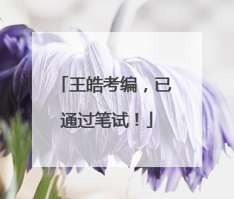 王皓考编，已通过笔试！