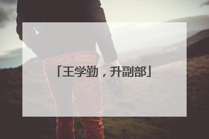 王学勤，升副部
