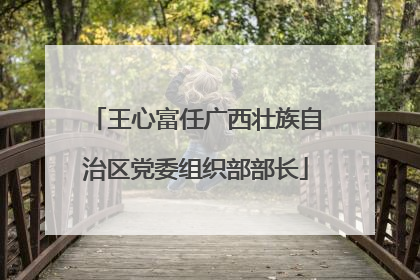 王心富任广西壮族自治区党委组织部部长